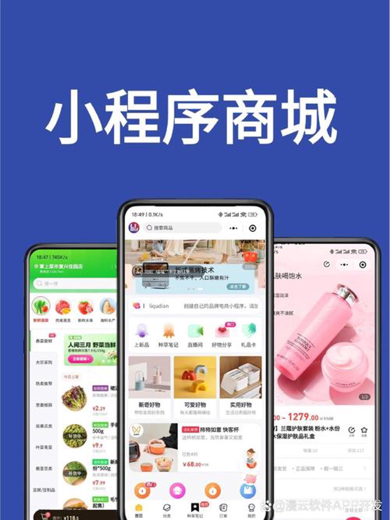 软件定制开发：企业成长的加速器